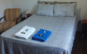 Quarto Amora
